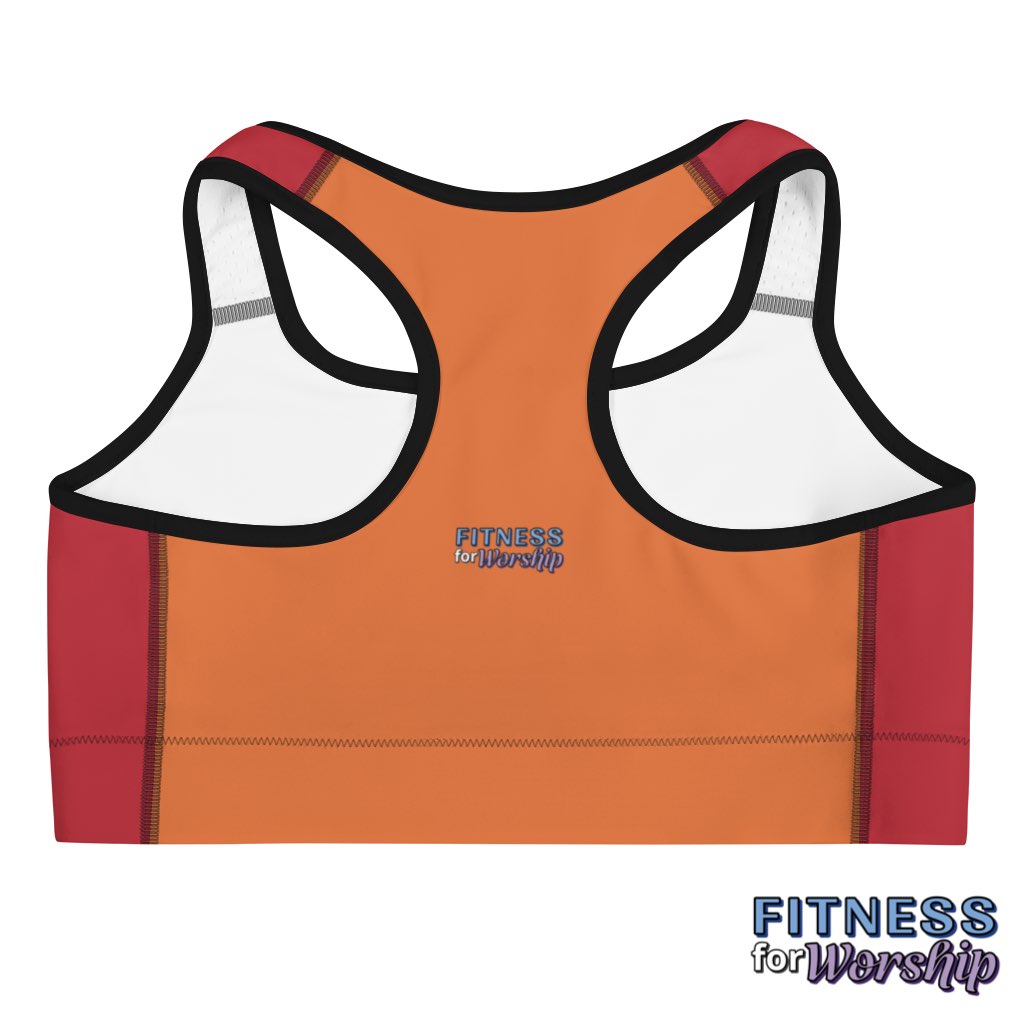 back of HEALED Red Sports bra by Fitness for Worship